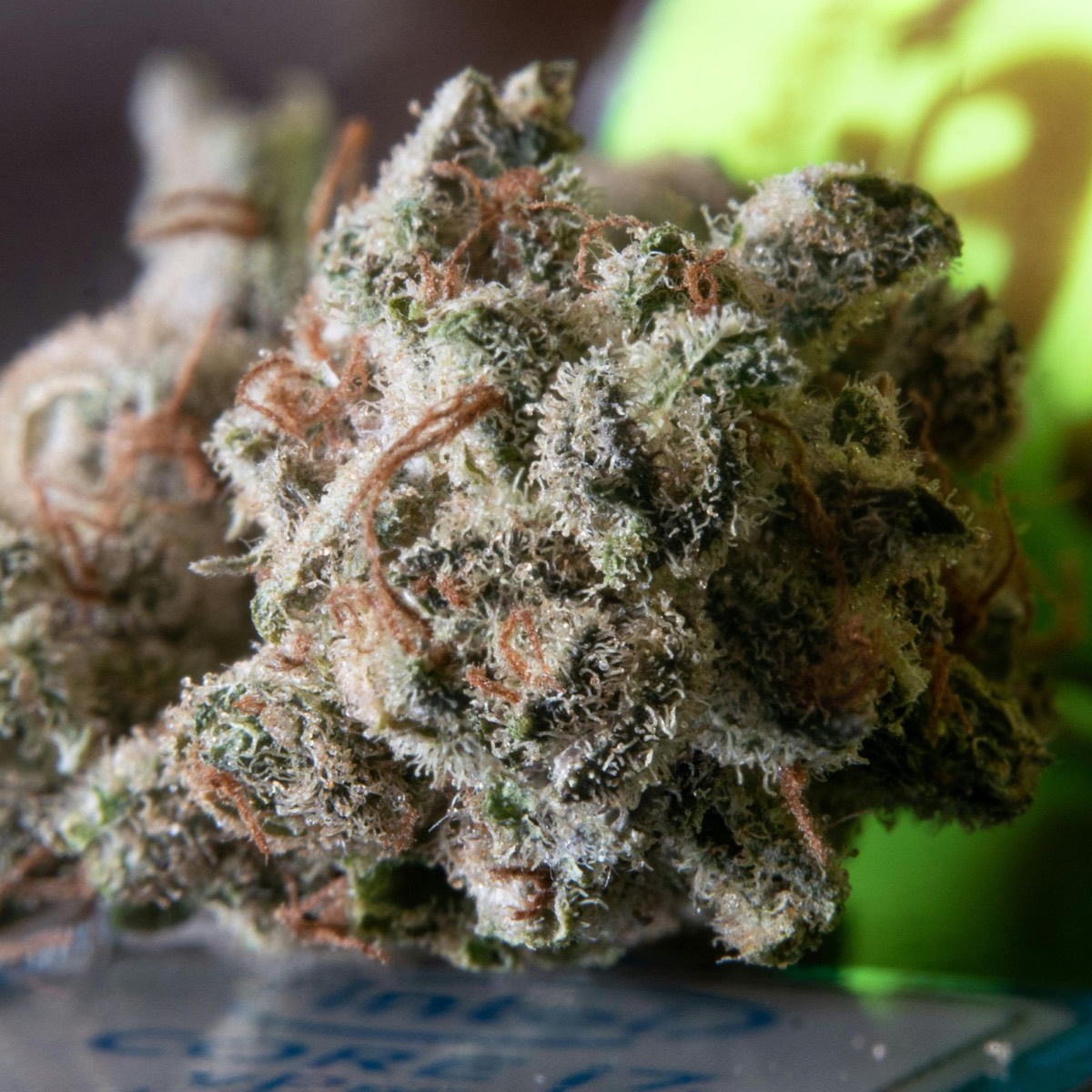 Cannabis flower products at Infinity Wellness